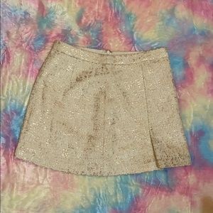 Rachel Zoe Skirt, Shiny Gold & Silver Detail